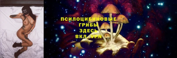 метадон Каменногорск