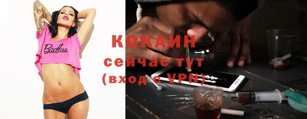 прущая мука Каменка